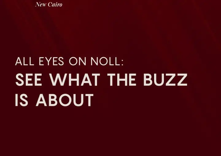 NollArtboard 1